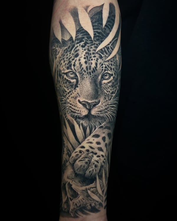 A highly detailed black and grey realism tattoo of a leopard with a skull on the forearm, featuring intricate shading and texture — by imindisoul, anaheim, ca
