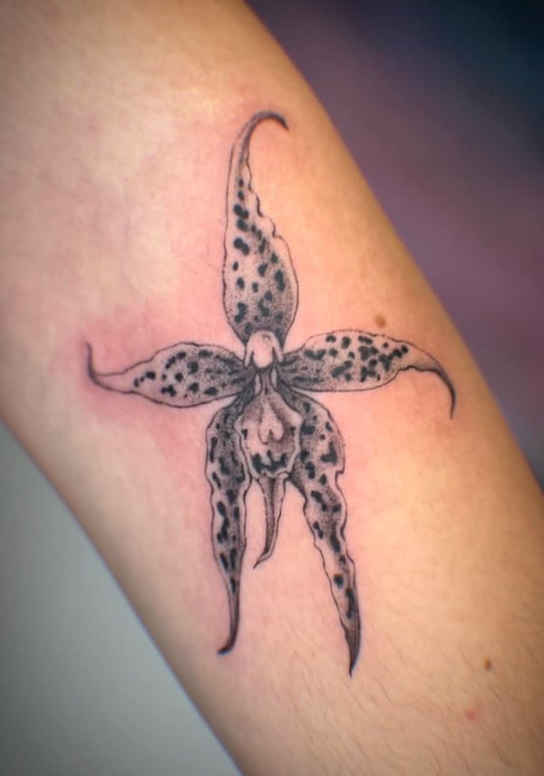 blackwork tattoo by Samantha Wilks — los angeles