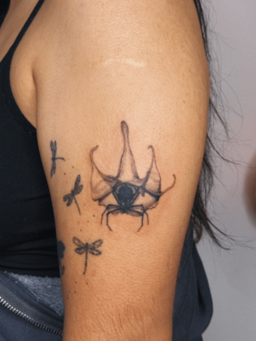 blackwork moth with dragonflies tattoo — by lunayflorestattoo, los angeles