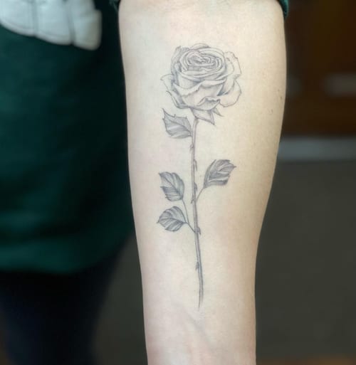 A delicate black and grey fine line rose tattoo on the forearm, showcasing minimalist floral design — by Sandra Price, los angeles