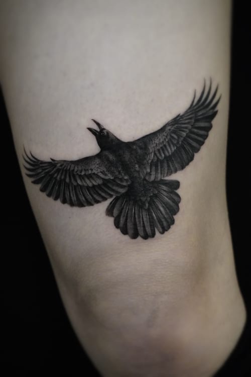 A realistic black and grey tattoo of a bird in flight on the arm, showcasing detailed feather work and shading — by Jian Liang, los angeles