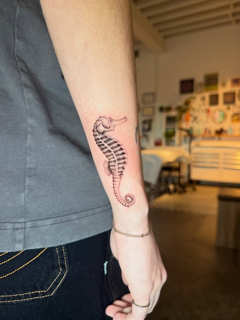 fine line tattoo of a seahorse with banded black stripes and a curled tail on the forearm by Kiera Garvin, a tattoo artist in fairfax, los angeles