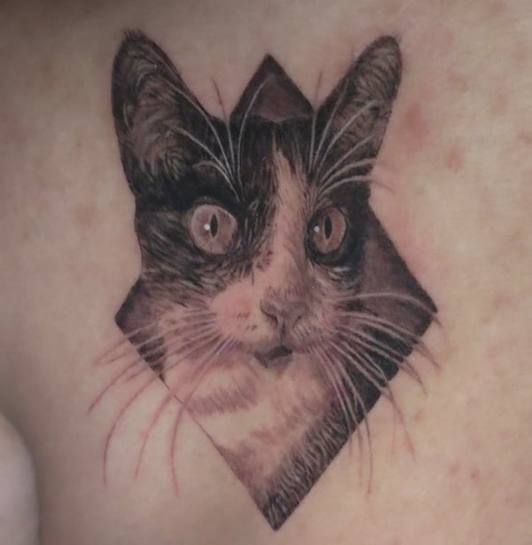 A realistic black and grey cat portrait tattoo with detailed fur texture and expressive eyes — by Miguel ANGELO, temecula, ca