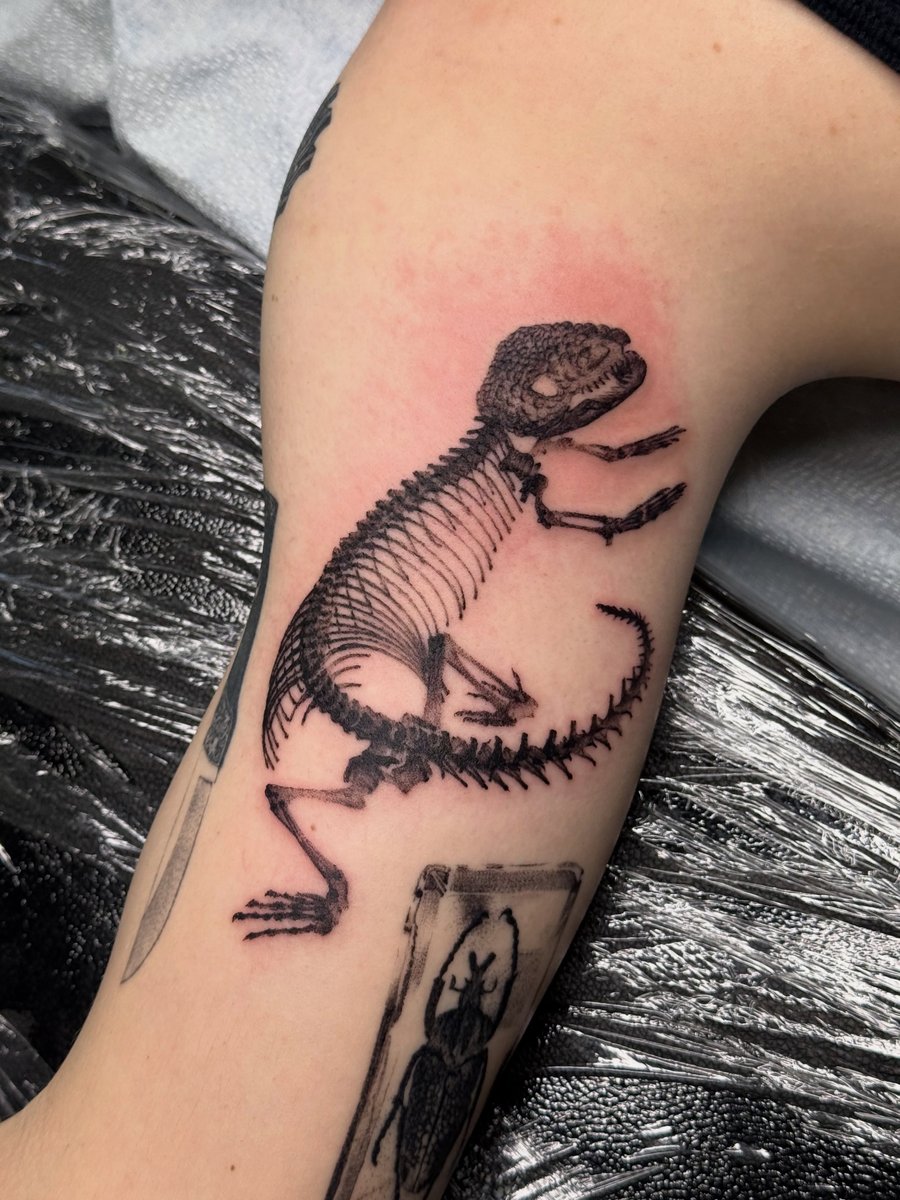 A graphic blackwork tattoo of a lizard skeleton on the upper arm, featuring detailed bone structure in black ink — by Level tattoo, los angeles