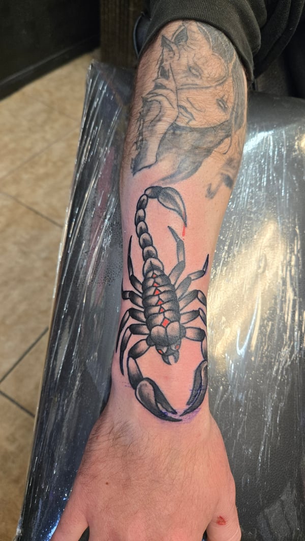 A realistic scorpion tattoo on the forearm with detailed shading in black and grey, accented with subtle red highlights — by Dretty, long beach, ca