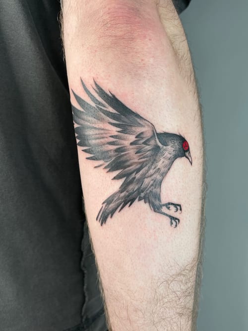 black & grey crow tattoo — by Vince Espinoza, los angeles