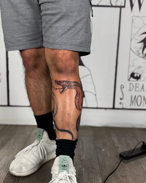 A bold neo-traditional snake tattoo on the leg with a mix of color and blackwork elements — by zealous, los angeles