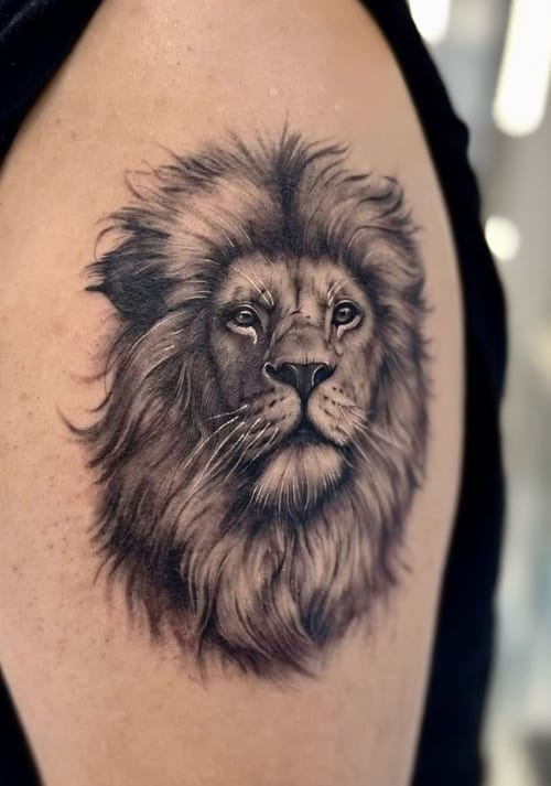 A realistic black and grey lion portrait on the upper arm, showcasing detailed fur and expressive eyes — by otaybeatdown, los angeles