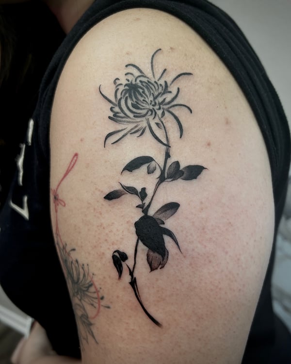 A black and grey botanical tattoo of a chrysanthemum on the upper arm, featuring bold lines and detailed floral elements — by emily, rahway