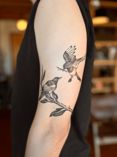 A black and grey fine line tattoo of two birds on a branch on the upper arm, featuring realistic details and soft shading — by Dylan Aiello, los angeles
