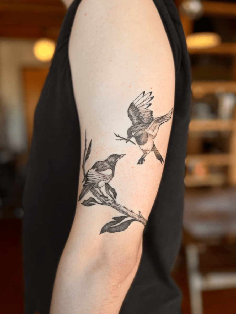 A black and grey fine line tattoo of two birds on a branch on the upper arm, featuring realistic details and soft shading — by Dylan Aiello, los angeles