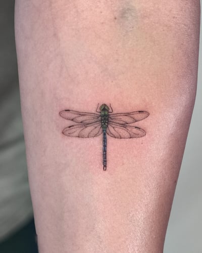 A delicate fine line dragonfly tattoo on the arm with subtle color details — by Melanie Benoit, los angeles