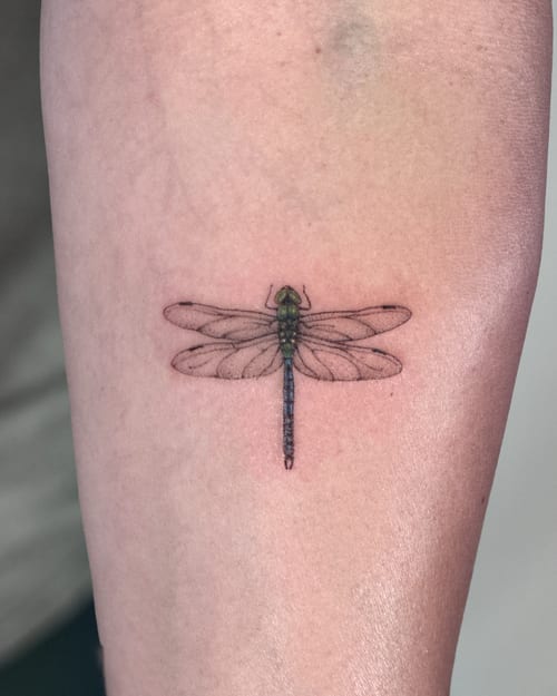 A delicate fine line dragonfly tattoo on the arm with subtle color details — by Melanie Benoit, los angeles