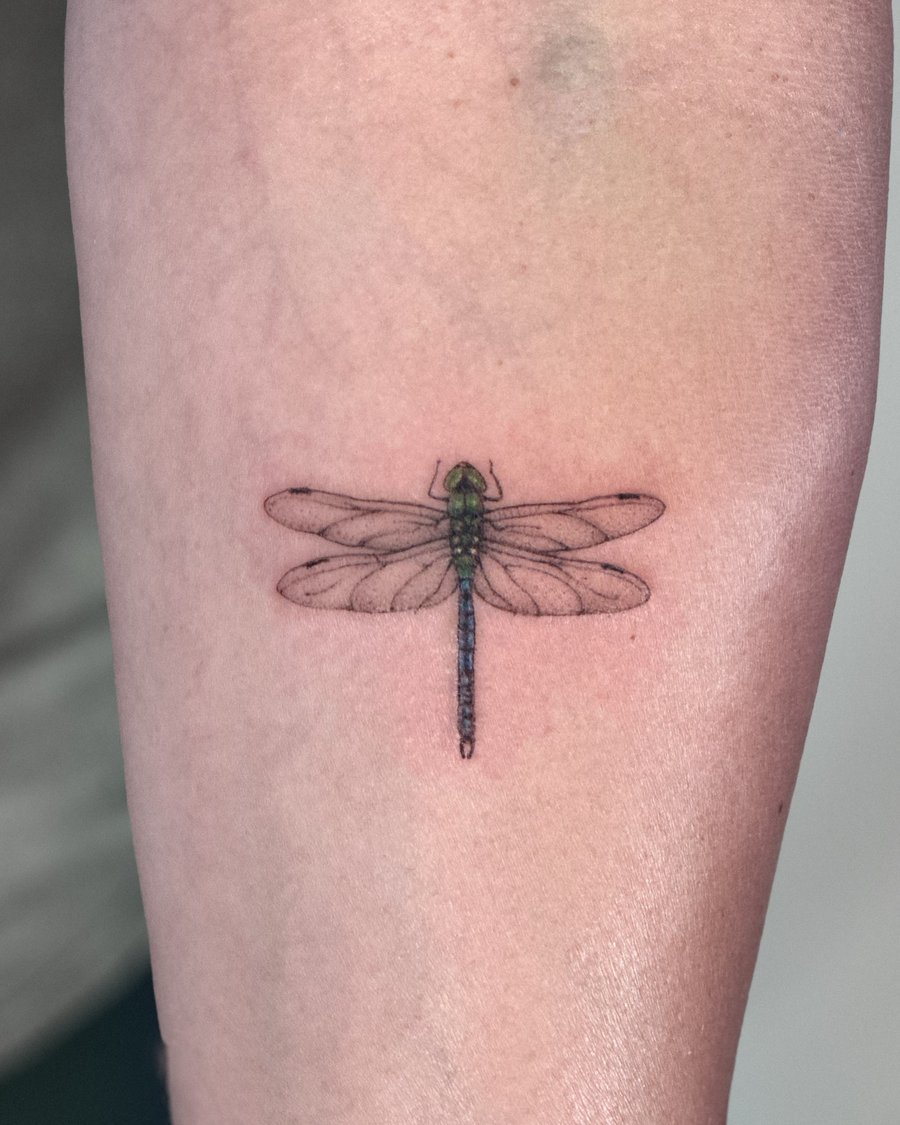 A delicate fine line dragonfly tattoo on the arm with subtle color details — by Melanie Benoit, los angeles