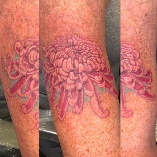 A colorful chrysanthemum tattoo on the arm, featuring delicate floral details in a Japanese style — by Sandra Price, los angeles