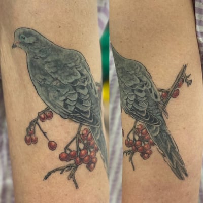 A realistic bird perched on a branch with red berries, tattooed on the forearm in color — by Sandra Price, los angeles