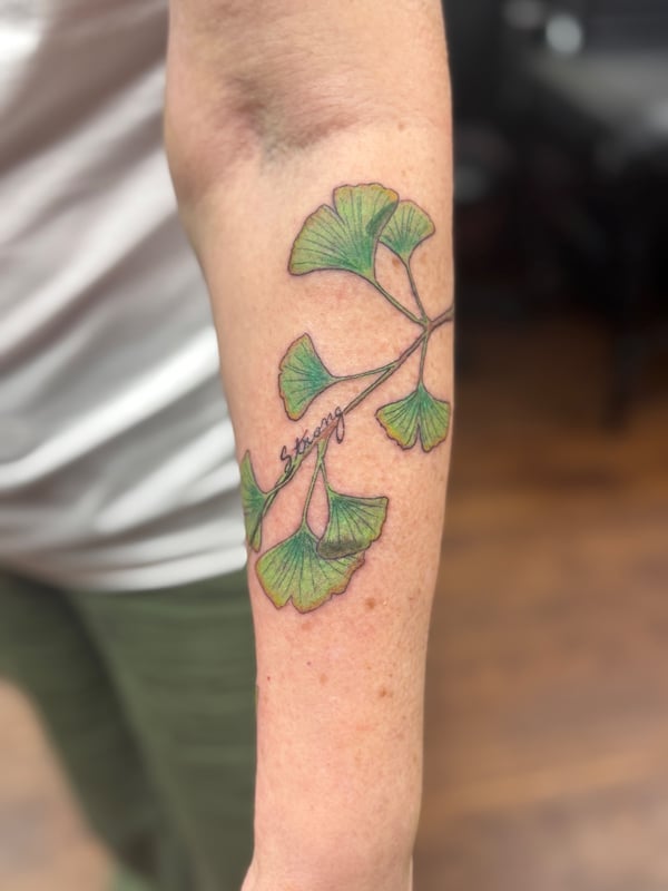 A delicate color tattoo of ginkgo leaves on the forearm, featuring fine line botanical style — by Sandra Price, ventura, ca