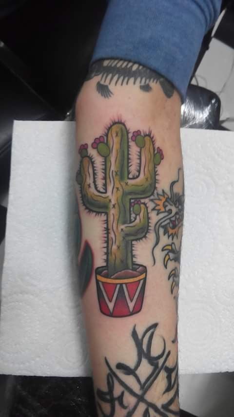 A bold traditional style cactus tattoo in a pot on the forearm — by Samuel Connelly, san diego, ca
