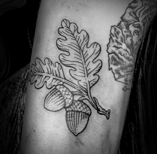 A black and grey linework tattoo of oak leaves and acorns on the arm, featuring bold outlines and simple shading — by Tag Devilish, los angeles