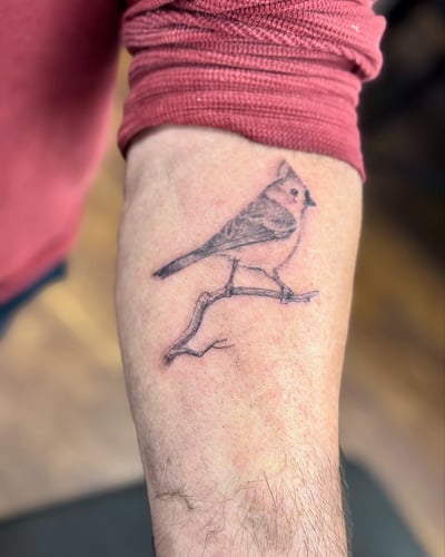 A delicate black and grey fine line tattoo of a bird on a branch located on the forearm — by Sandra Price, los angeles