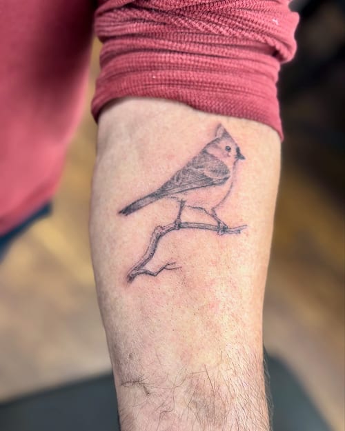 A delicate black and grey fine line tattoo of a bird on a branch located on the forearm — by Sandra Price, los angeles