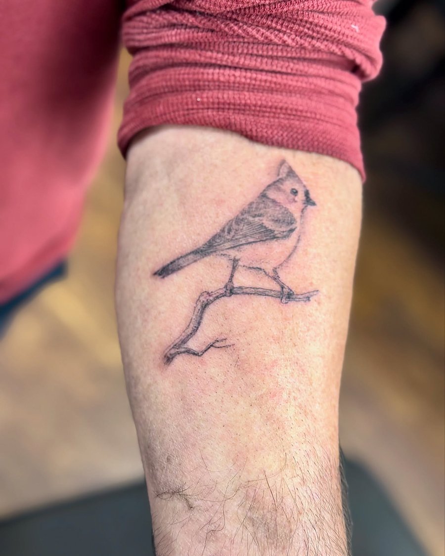 A delicate black and grey fine line tattoo of a bird on a branch located on the forearm — by Sandra Price, los angeles