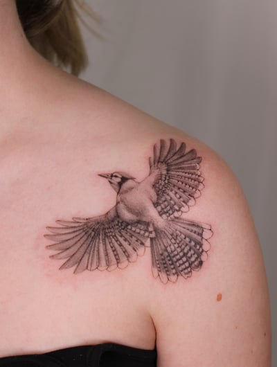 A realistic black and grey tattoo of a bird in flight on the shoulder, showcasing detailed feather work — by Melanie Benoit, los angeles