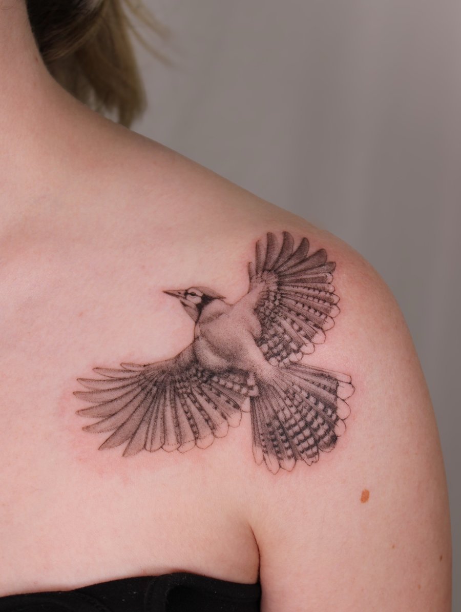 A realistic black and grey tattoo of a bird in flight on the shoulder, showcasing detailed feather work — by Melanie Benoit, los angeles