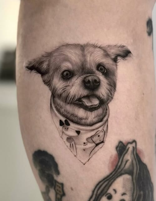 A black and grey realistic portrait of a dog wearing a bandana on the thigh, with detailed fur texture and shading — by otaybeatdown, los angeles