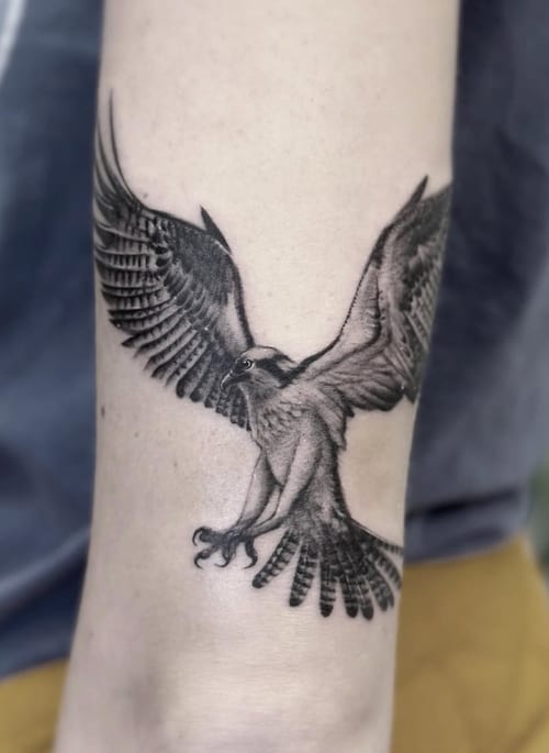 A detailed black and grey realism tattoo of an eagle in flight on the forearm, showcasing intricate feather details and shading — by Jian Liang, los angeles