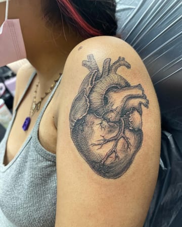 A realistic black and grey anatomical heart tattoo on the upper arm with detailed shading and texture — by Sandra Price, los angeles