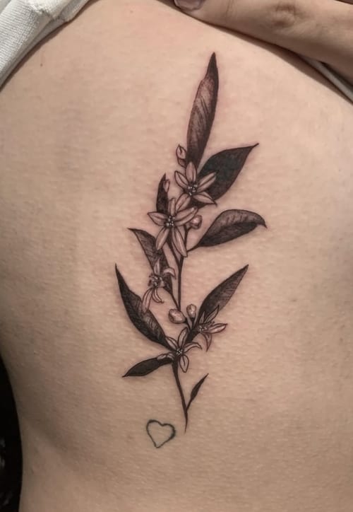 A fine line black and grey tattoo of a botanical branch with flowers on the rib, featuring delicate linework and shading — by Shelby Bianco, los angeles