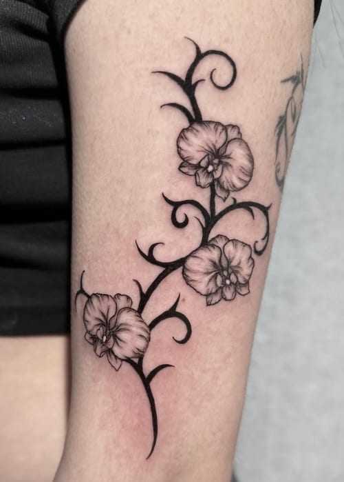 A fine line black and grey tattoo of orchids on the upper arm, featuring delicate floral details and elegant linework — by Shelby Bianco, los angeles