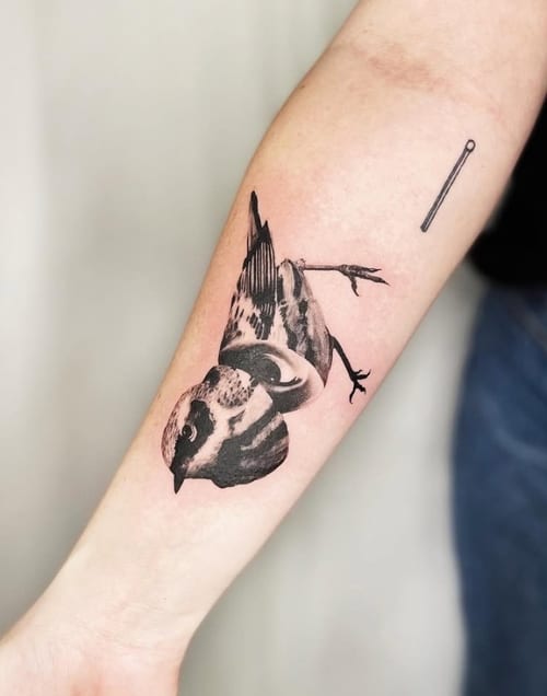 A black and grey realism tattoo of a bird on the forearm, featuring detailed shading and lifelike depiction — by Level tattoo, los angeles