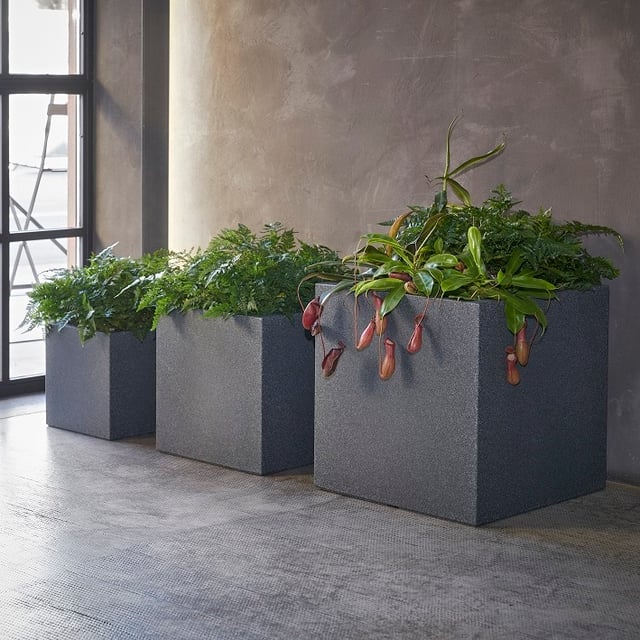 Flowerpot Kube