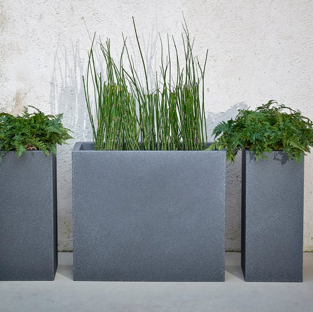 Kube High Plant box Castors