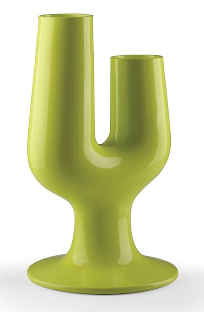 Flowerpot Cactus