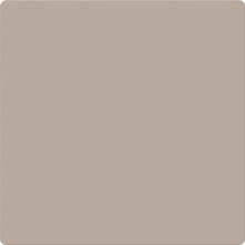 New Beige