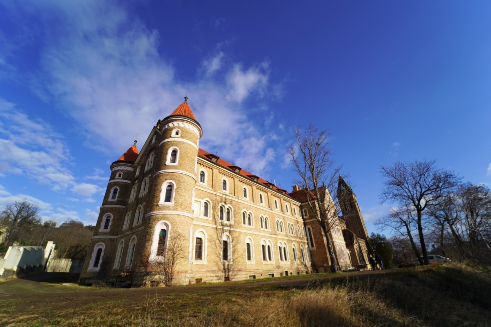 Obrázek