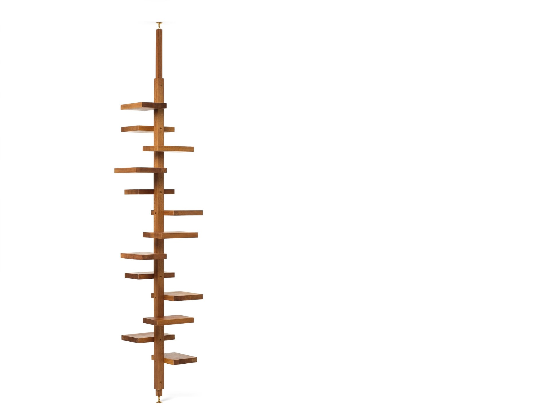 Knihovna Adelaide wood