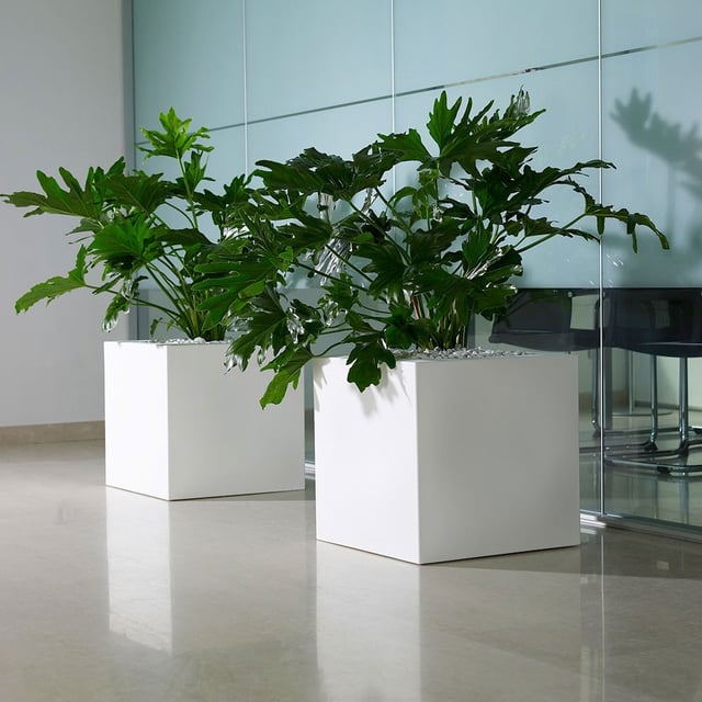 Flowerpot Kube Castors