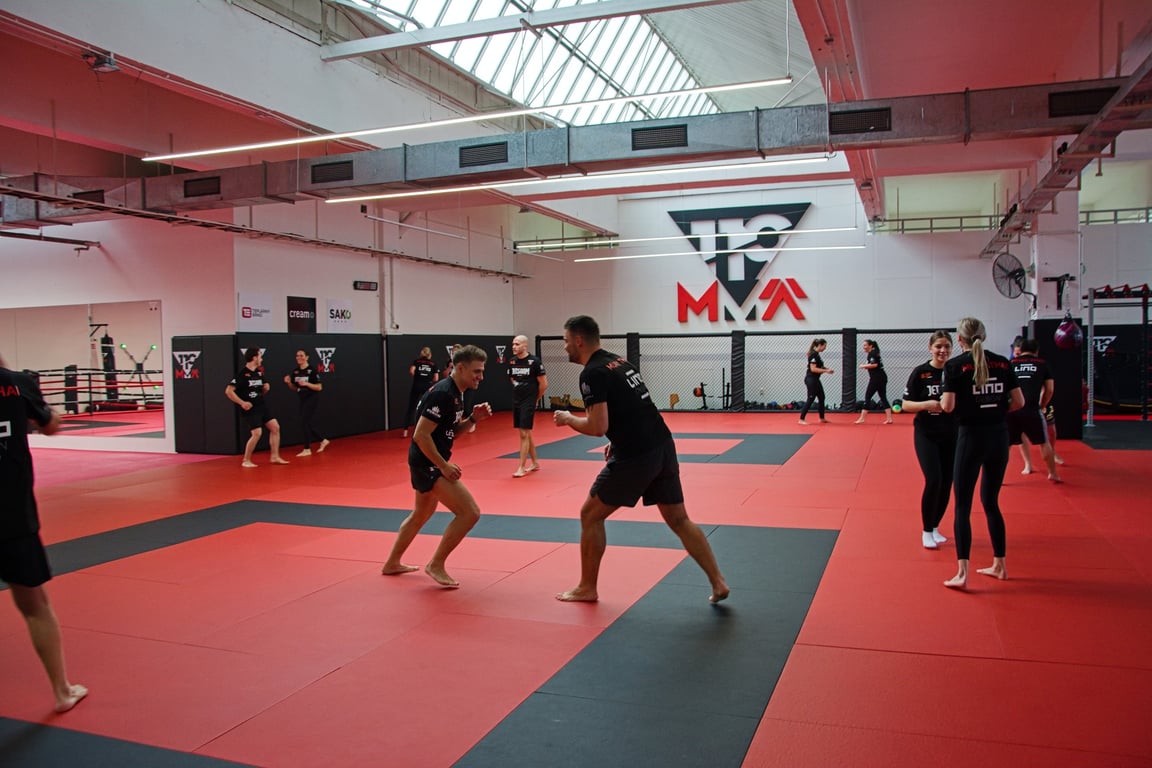 Vánoční teambuilding v Jetsaam Gym - galerie 7