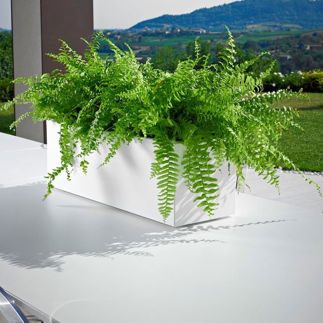 Kube Mini Plant box