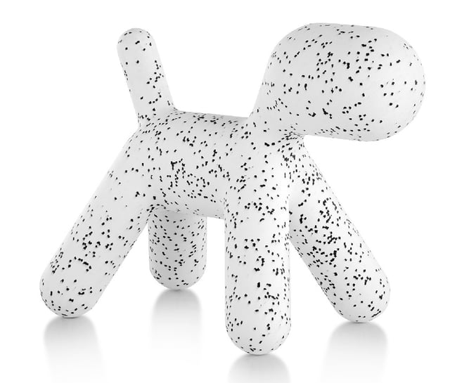 Puppy dog dalmatin