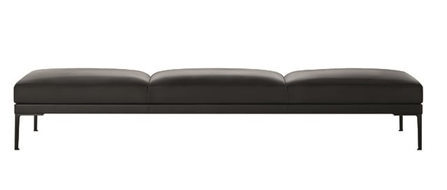 Steeve 5202