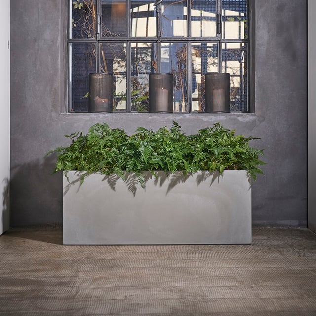 Kube Plant box