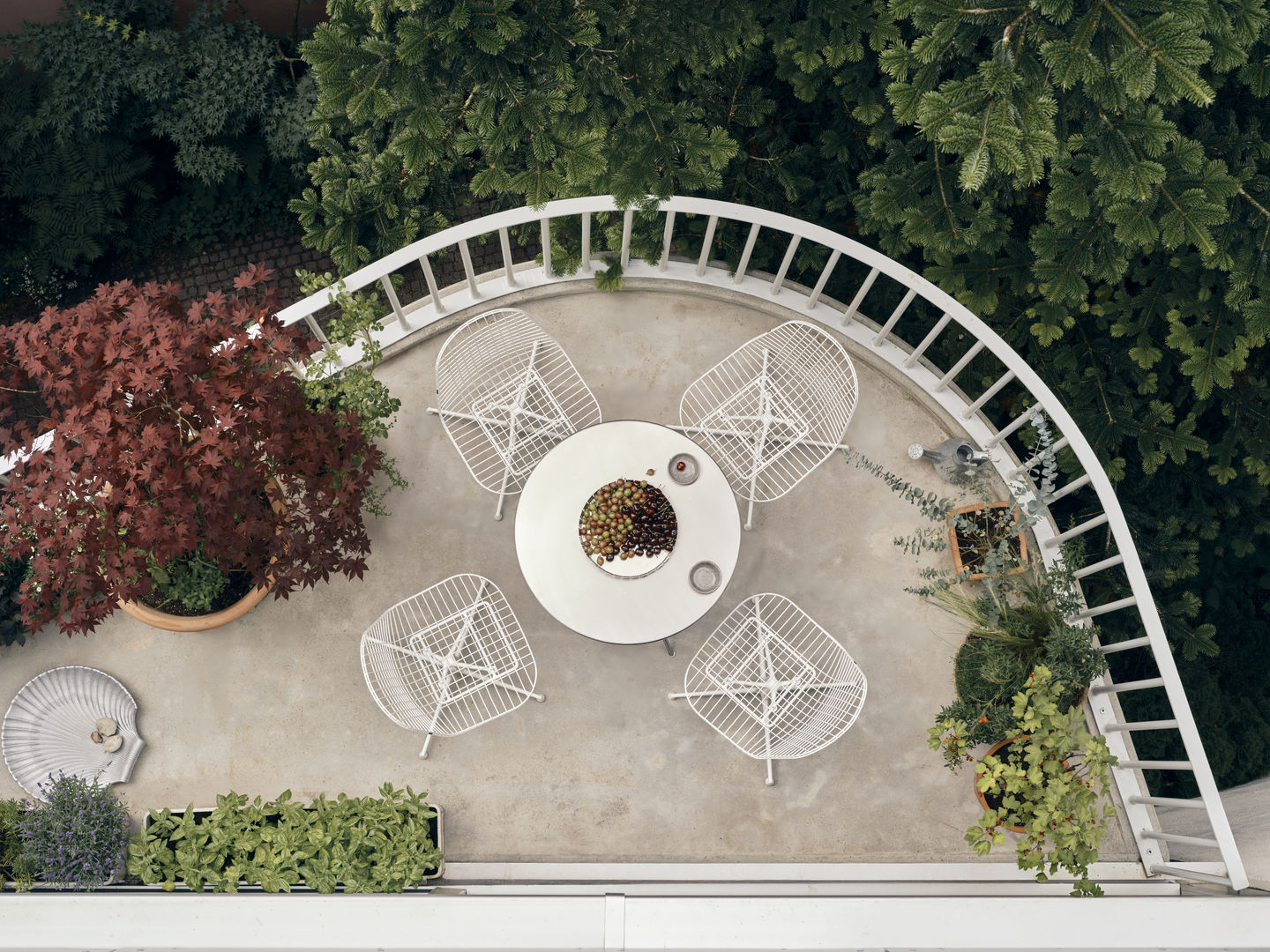 Židle Wire Chair DKL