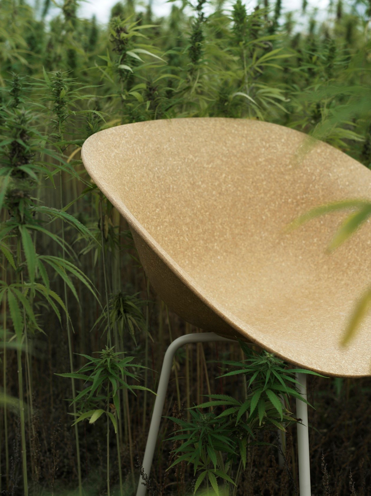 Židle Mat armchair