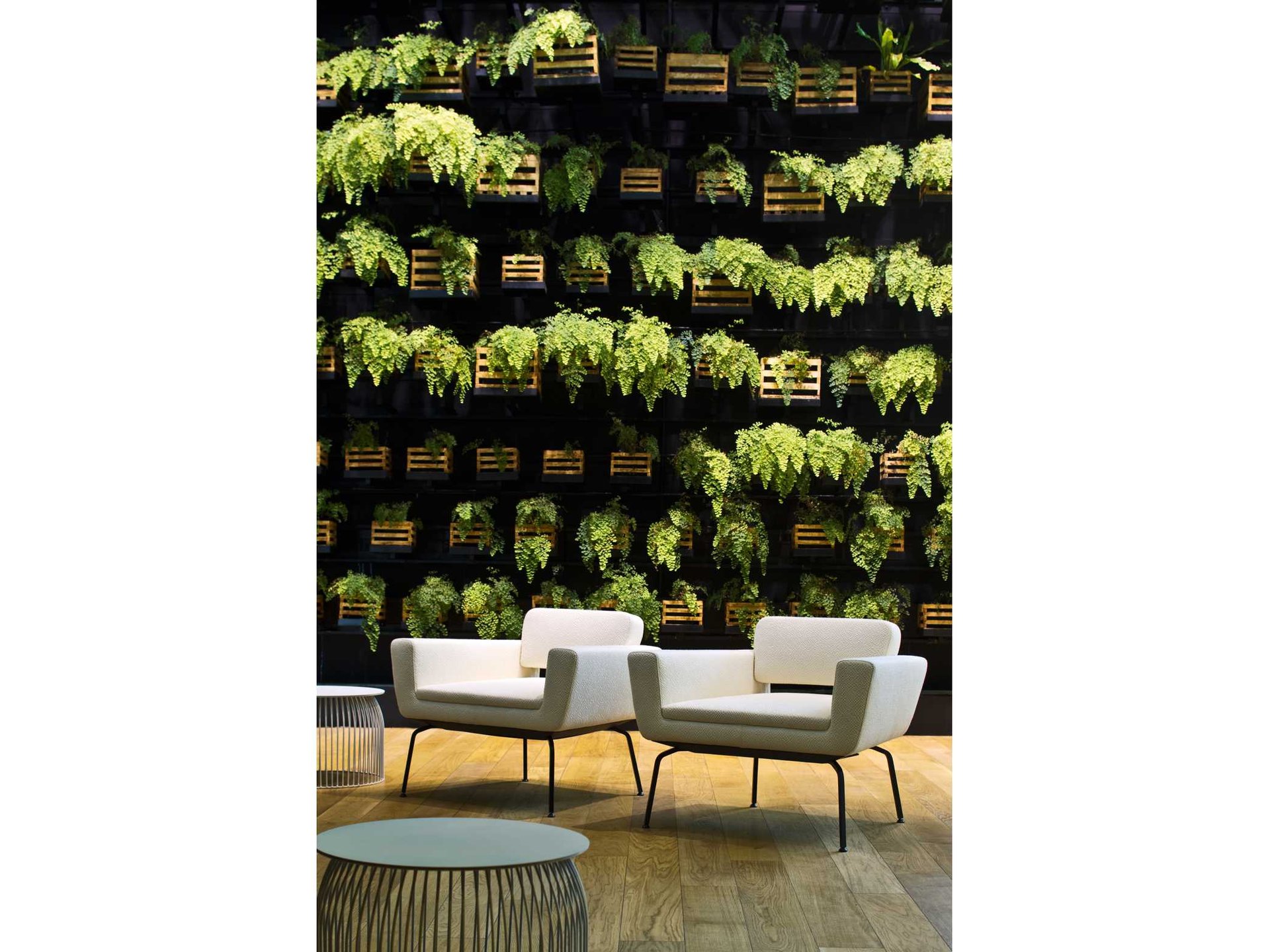 Serie 50 chair