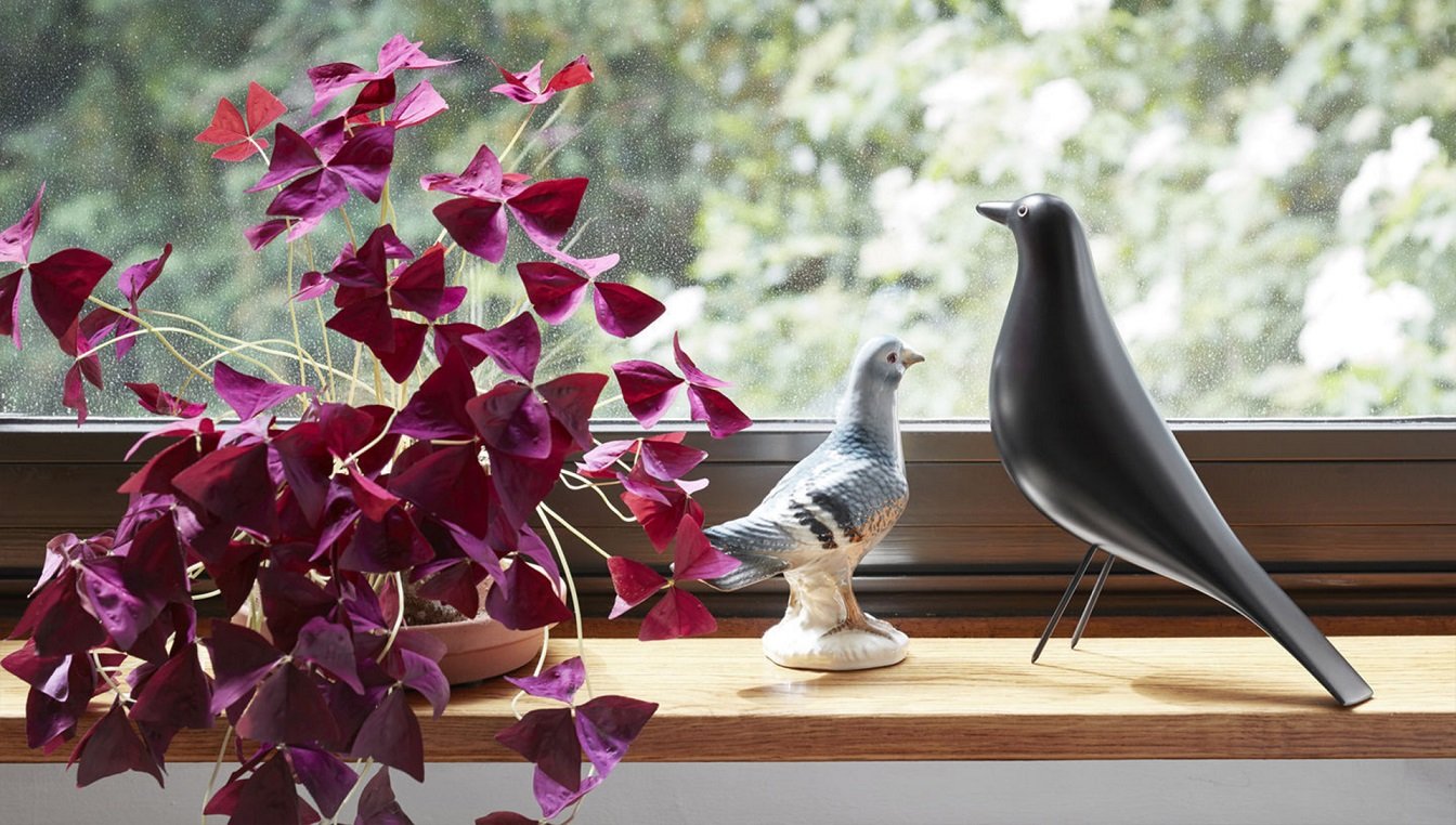 Eames House Bird